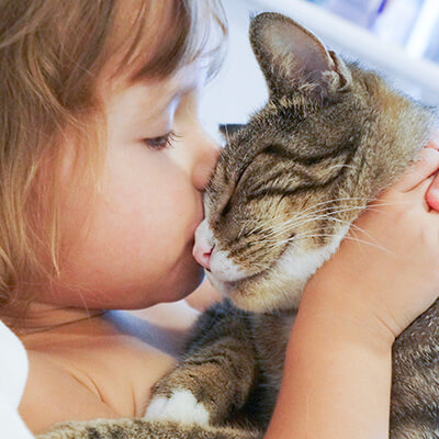 Cute Ways To Spoil Your Cat On Love Your Pet Day