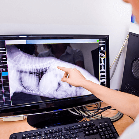 Diagnostics